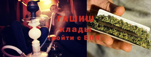 хмурый Магас