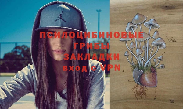 хмурый Магас