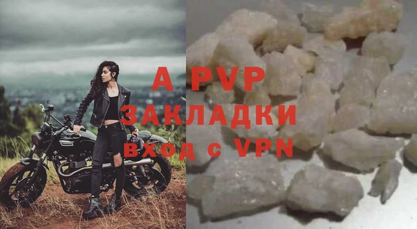 хмурый Магас