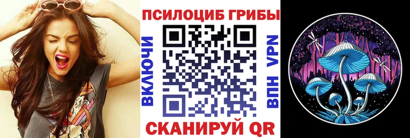 Псилоцибиновые грибы мицелий  закладка  Емва 